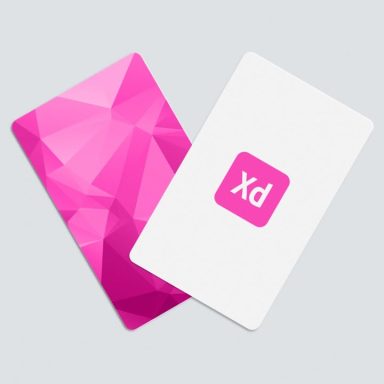 The Cards – Adobe XD freebie - Xd File