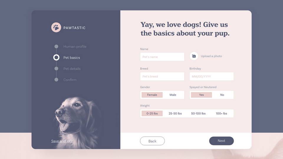 Pawtastic Free Ui Kit Download XdFile