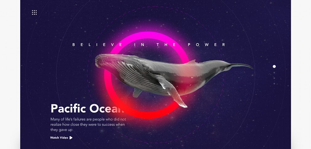 Whale Landing Page Concept In Xd 1014x487 1