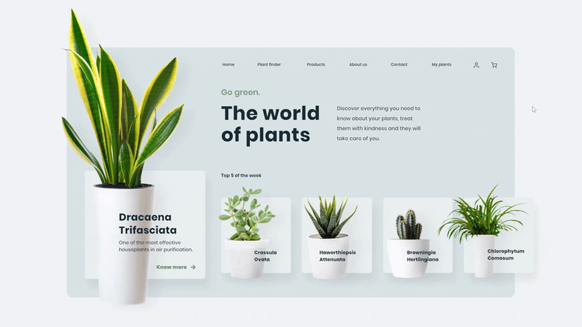 Animated Plants Website XD Template