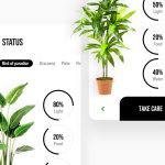Plant Care Animated App XD
