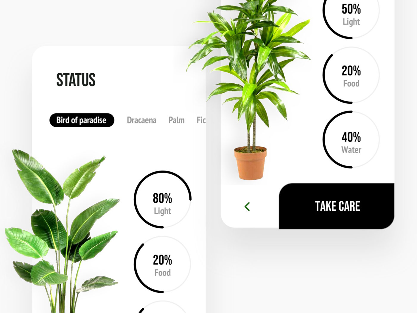 Plant Care Animated App XD